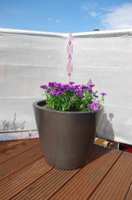 Terrasse / Balkon 'Blumen auf der Dachterrasse'