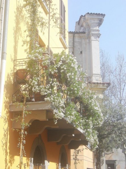 Der Balkon hat es mir einfach angetan, er sah so herrlich romantisch aus