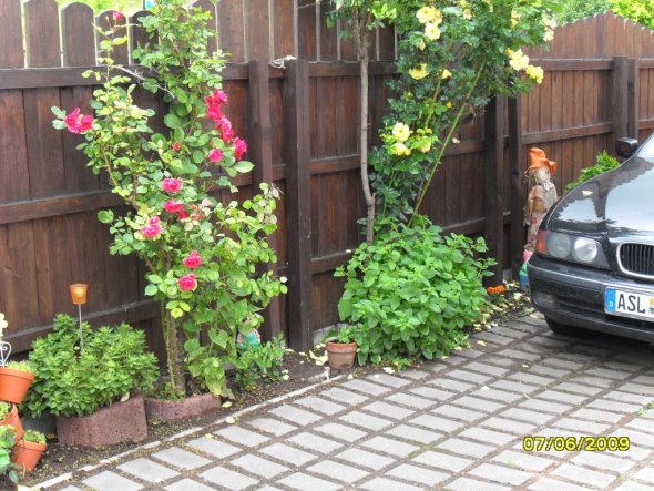 Terrasse / Balkon 'Zierbrunnen, Pflanztisch und Einfahrt'