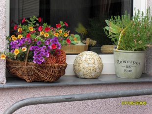 Blumenfenster