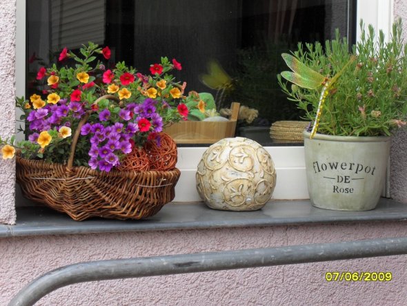 Terrasse / Balkon 'Blumenfenster'