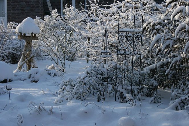 Garten 'Unser Garten'