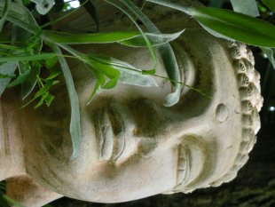 alle Räume 'zur Freihet'