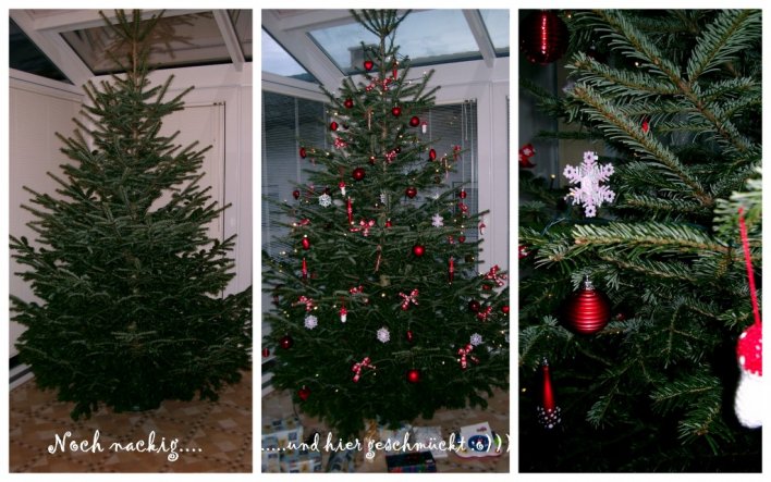 Hier unser diesjähriger Christbaum....er ist so hoch, daß er im Wohnzimmer nicht Platz hatte und somit heuer im Wintergarten steht ;o)))