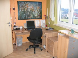 Büro und Gästezimmer