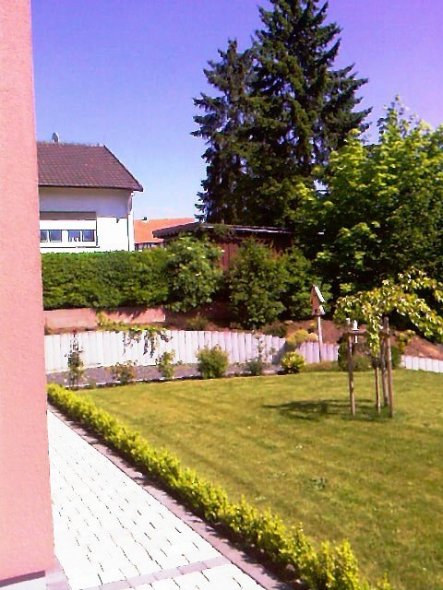 Langsam wächst auch die Buchsbaumhecke. Die steht schon seit 2 Jahren und hat sich nicht viel verändert aber seit März tut sich da was.