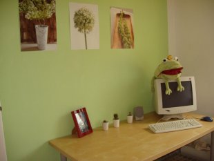 Froschzimmer