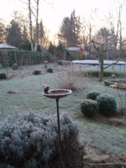 ein Blick im Winter von der Terasse in den Garten