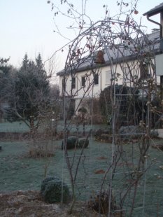 Garten 'Weit und Grün'