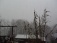 Unser Garten im Winter (Teilansicht)