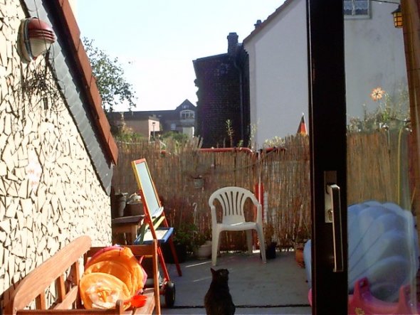 Blick vom Wohnzimmer zur Terrasse raus.