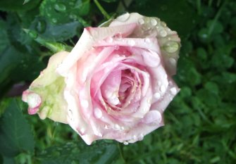 Foto´s, eines meiner Hobby´s