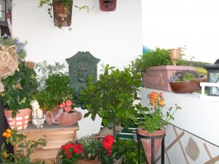 alle Räume 'Mein Raum'