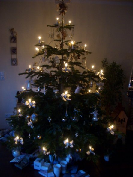 Unser Christbaum 2011