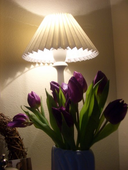 Etwas Frühling!