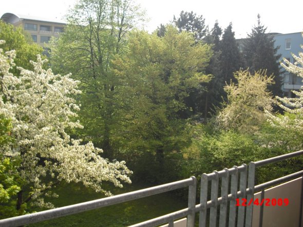 Terrasse / Balkon 'balkon'