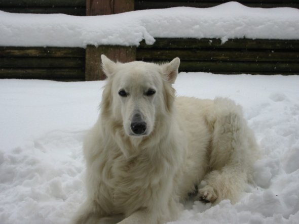 Lunchen im Garten, Schnee in Bayern 2009