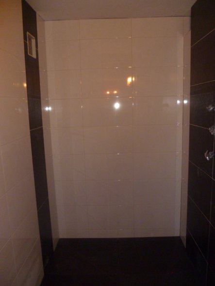 Dusche neu zum Retro-Pinken WC
