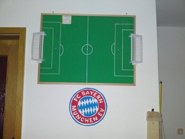 So und hier das Fertige Ergebnis einschließlich der Fussballpinwand selber grüngepinselt und spielfeldumrandungen aufgemalt +2spielzeugtore daran befe