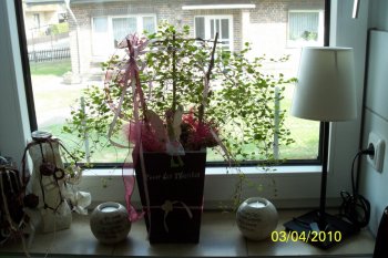 Ostern 2010