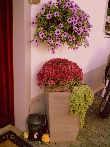 Wohnzimmer 'herbststimmungen'