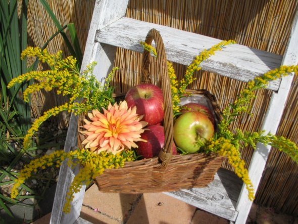 Terrasse / Balkon 'Unser Garten '