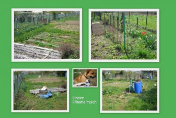 Unser Schrebergarten