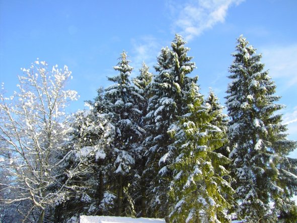 Hausfassade / Außenansichten 'Winter'