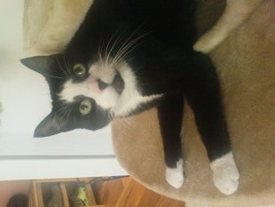 alle Räume 'Mein Raum'