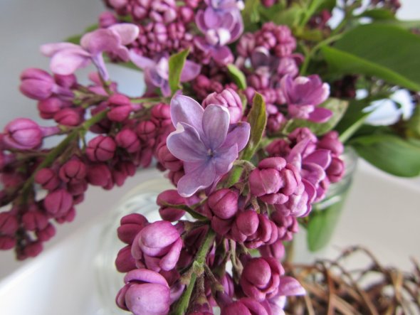 Wohnzimmer 'Blomster Hus'