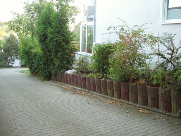 Garten 'Garten'