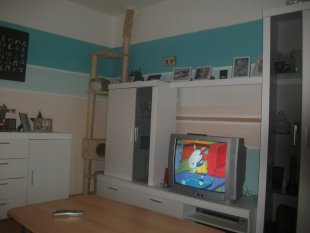 Neues Wohnzimmer
