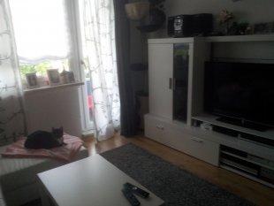 wohnzimmer  nach umzug