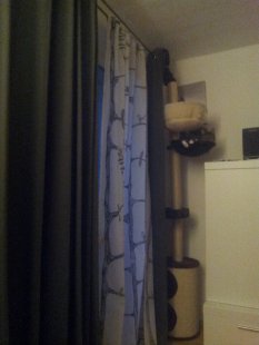 wohnzimmer  nach umzug