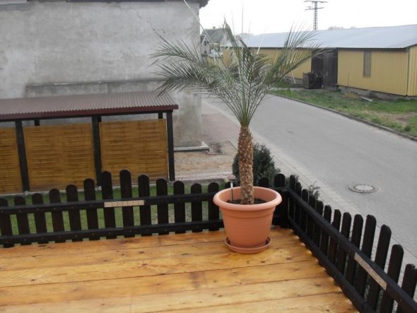 Terrasse / Balkon 'Sonnenterrasse auf der Garage'