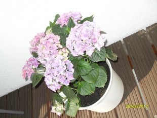 alle Räume 'Mein Raum'