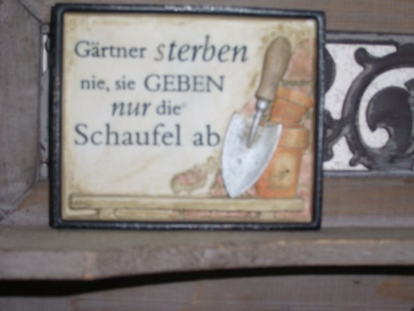 Den Spruch fand ich herrlich -und so steht esauf dem Regal an der   Terrassenwand :o)