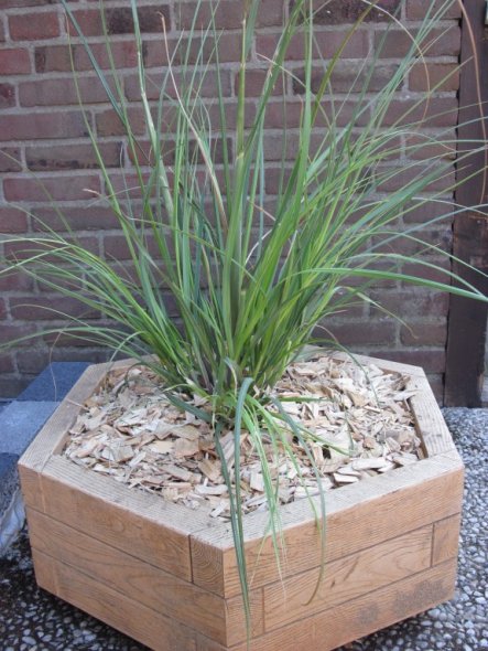 Garten 'Mein Garten.'