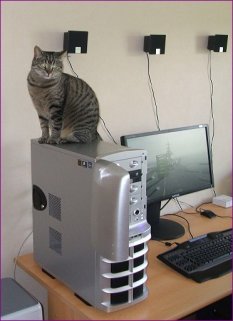 Unsere Teppichtorpedos