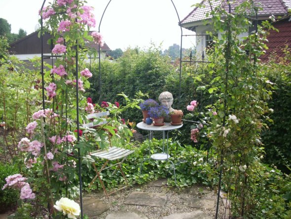 Garten 'Garten Sommer 2009'