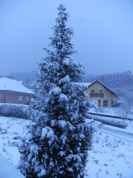 Hausfassade / Außenansichten 'Winter im Saarland'