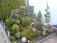 Garten 'Vorgarten'