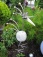 Garten 'Vorgarten'