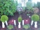 Garten 'Vorgarten'
