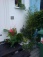Garten 'Vorgarten'