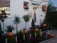 Garten 'Vorgarten'
