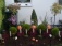 Garten 'Vorgarten'