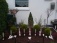 Garten 'Vorgarten'