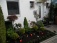 Garten 'Vorgarten'
