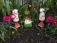 Garten 'Vorgarten'